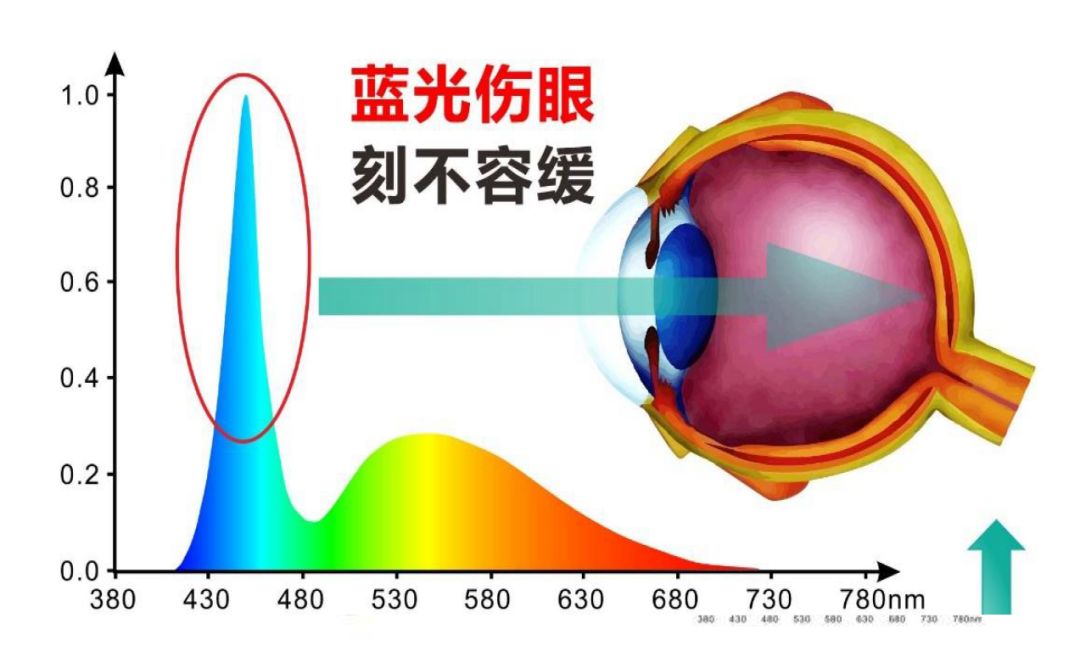 1638951904352799.jpg 微信图片_20211208161758.jpg